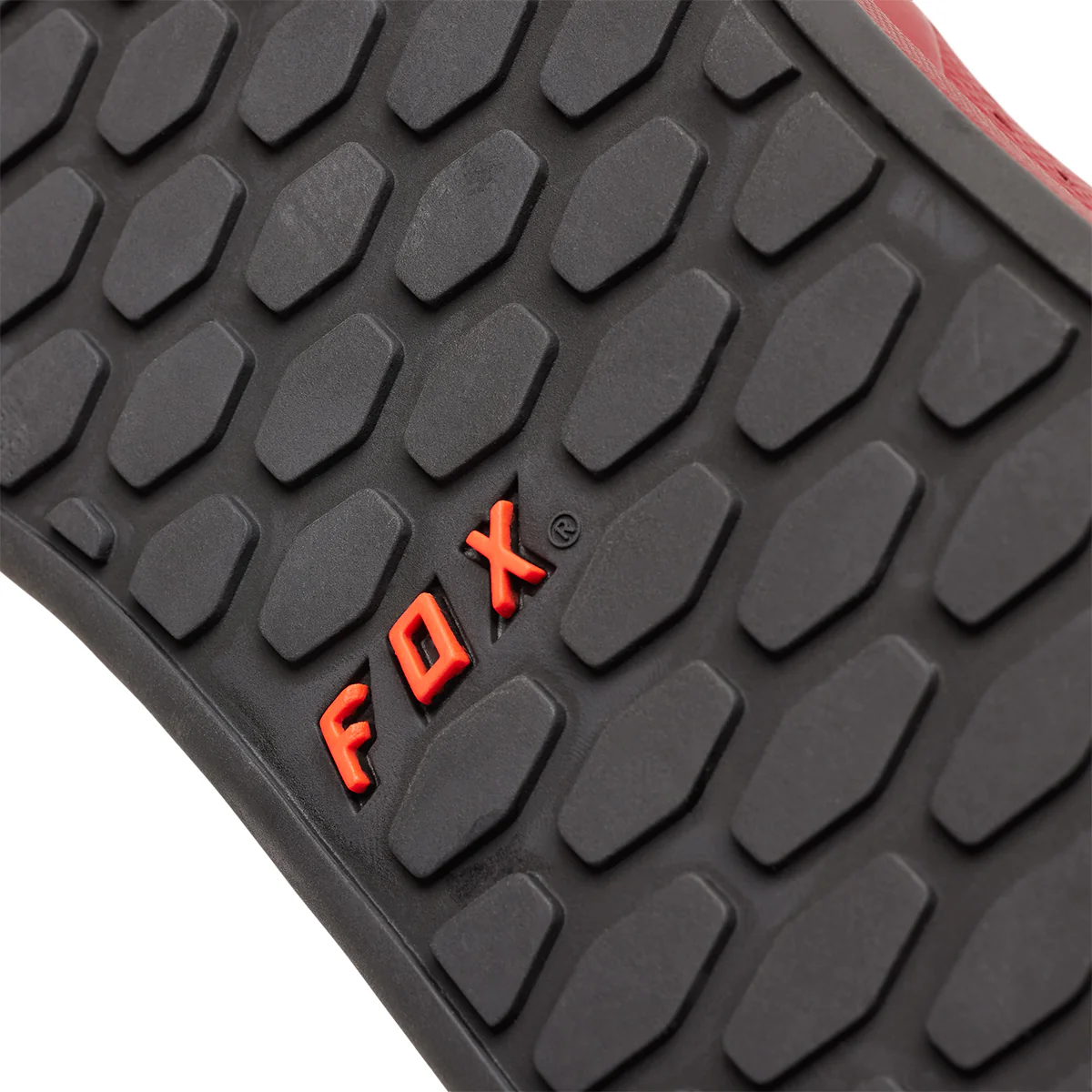 Tenis FOX Union Flat - Image 7